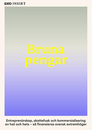 Omslaget til Bruna pengar af Morgan Finnsiö & Jonathan Leman & Niclas Nilsson & Daniel Poohl (svensk udgave)